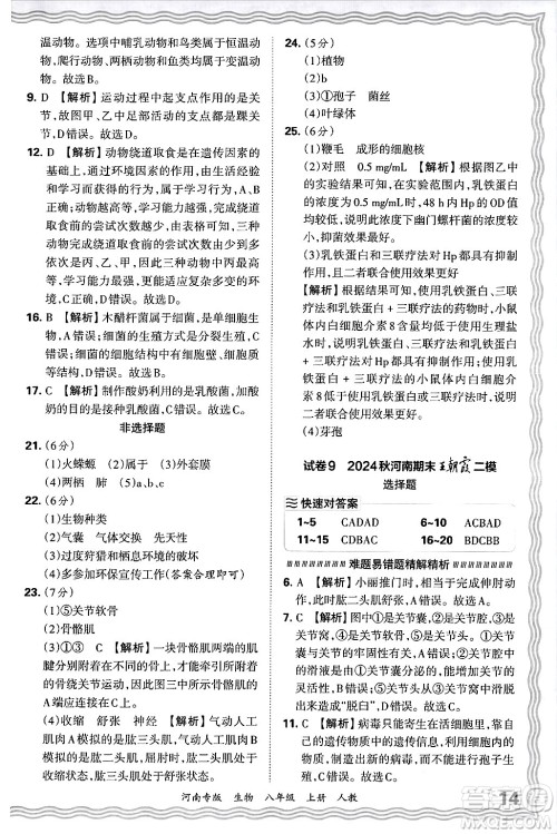 江西人民出版社2024年秋王朝霞各地期末试卷精选八年级生物上册人教版河南专版答案