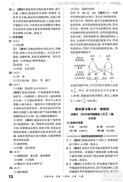 江西人民出版社2024年秋王朝霞各地期末试卷精选八年级生物上册人教版河南专版答案