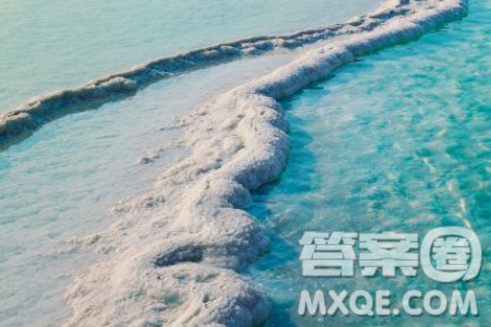 物各有性水至淡盐得味材料作文800字