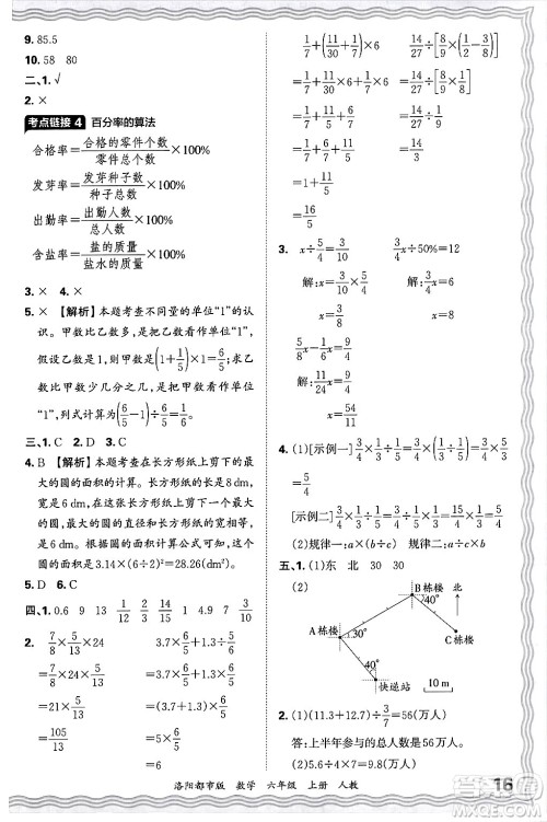 江西人民出版社2024年秋王朝霞各地期末试卷精选六年级数学上册人教版洛阳专版答案