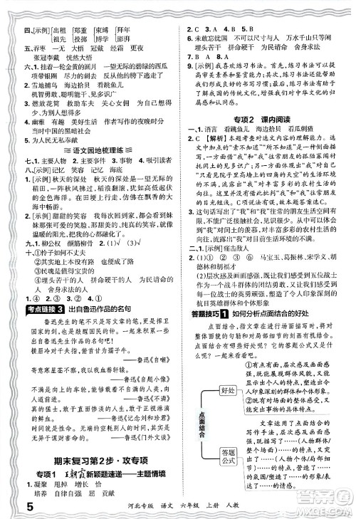 江西人民出版社2024年秋王朝霞各地期末试卷精选六年级语文上册人教版河北专版答案
