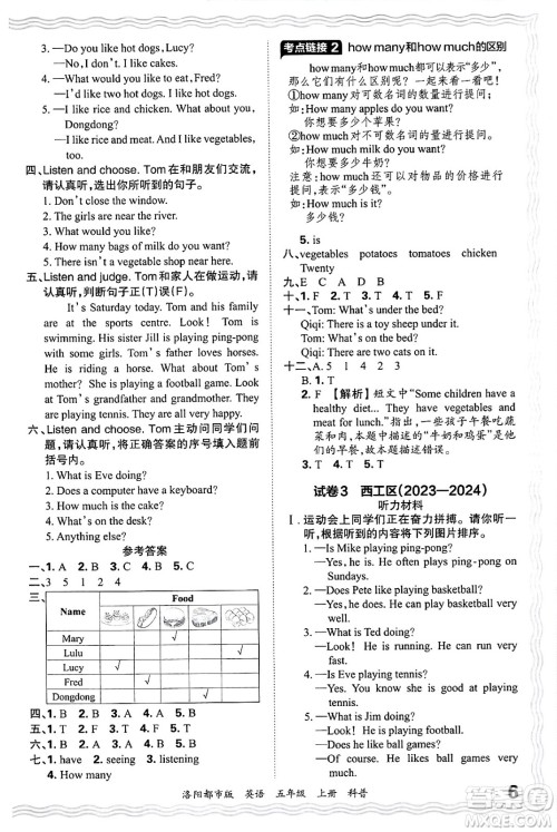 江西人民出版社2024年秋王朝霞各地期末试卷精选五年级英语上册科普版洛阳专版答案