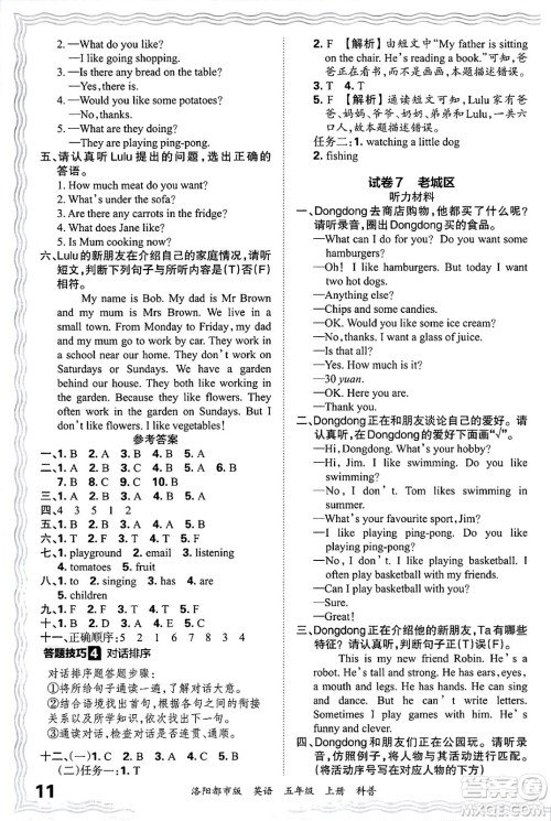 江西人民出版社2024年秋王朝霞各地期末试卷精选五年级英语上册科普版洛阳专版答案