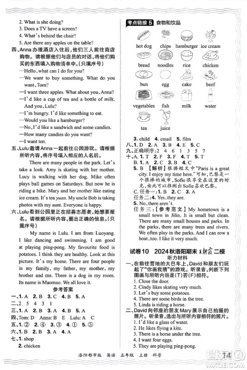 江西人民出版社2024年秋王朝霞各地期末试卷精选五年级英语上册科普版洛阳专版答案