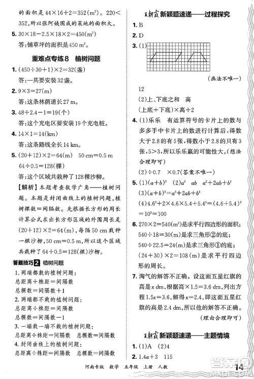江西人民出版社2024年秋王朝霞各地期末试卷精选五年级数学上册人教版河南专版答案