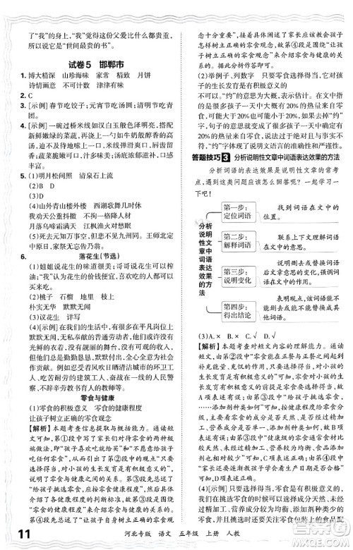 江西人民出版社2024年秋王朝霞各地期末试卷精选五年级语文上册人教版河北专版答案