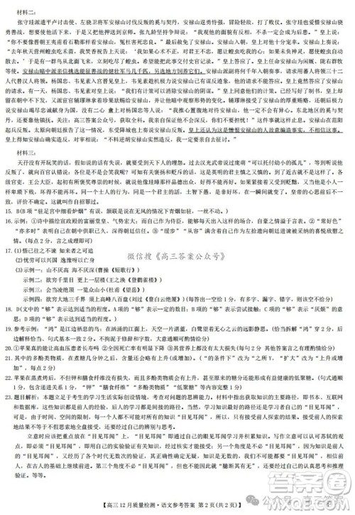 2024年12月23-24九师联盟高三联考G语文试卷答案