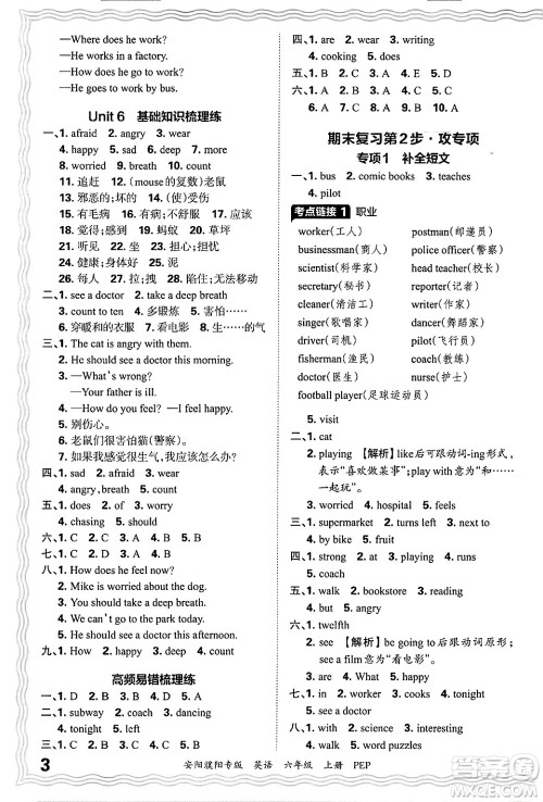 江西人民出版社2024年秋王朝霞期末真题精编六年级英语上册人教PEP版安阳濮阳专版答案 江西人民出版社2024年秋王朝霞期末真题精编六年级英语上册人教PEP版安阳濮阳专版答案
