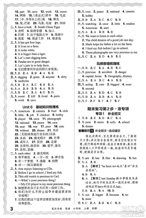 江西人民出版社2024年秋王朝霞期末真题精编六年级英语上册剑桥版大武汉专版答案