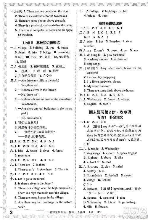 江西人民出版社2024年秋王朝霞期末真题精编五年级英语上册人教PEP版安阳濮阳专版答案 江西人民出版社2024年秋王朝霞期末真题精编五年级英语上册人教PEP版安阳濮阳专版答案