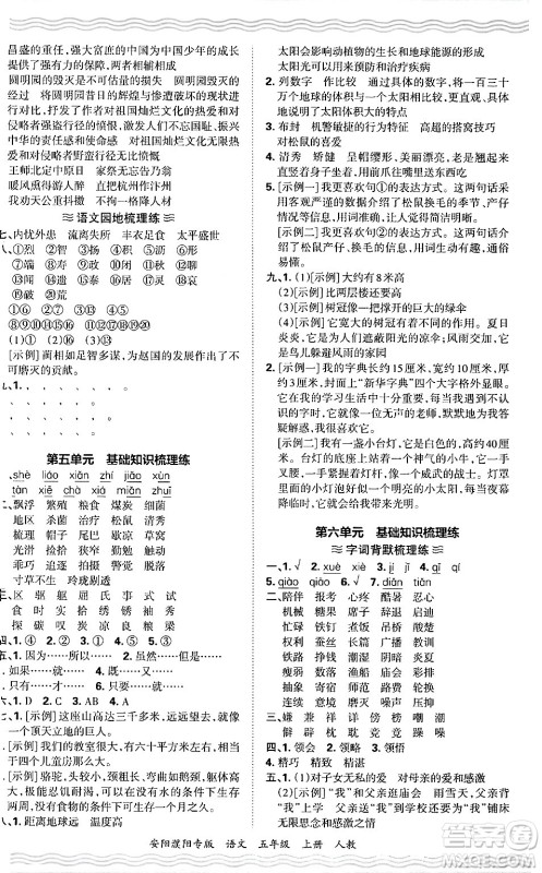 江西人民出版社2024年秋王朝霞期末真题精编五年级语文上册人教版安阳濮阳专版答案