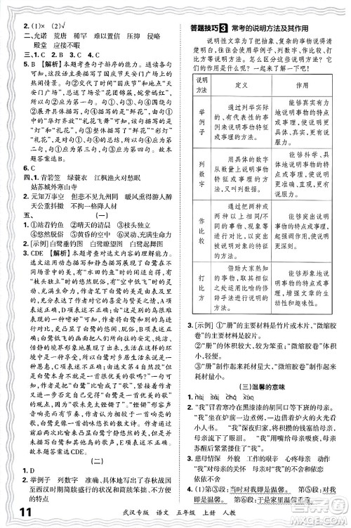 江西人民出版社2024年秋王朝霞期末真题精编五年级语文上册人教版大武汉专版答案