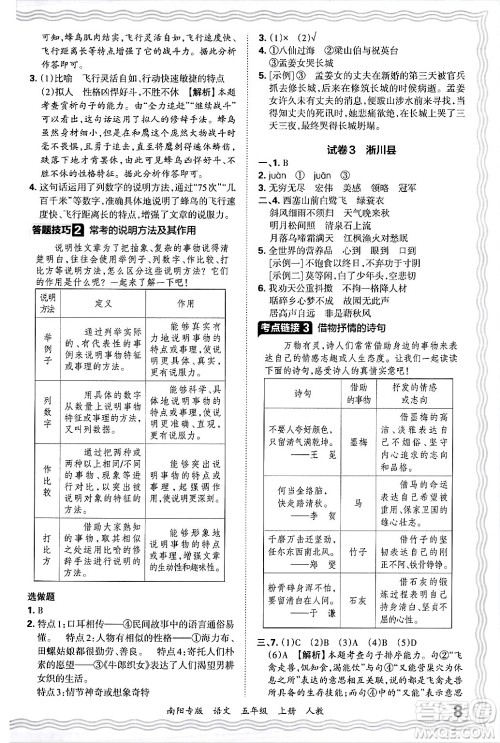 江西人民出版社2024年秋王朝霞期末真题精编五年级语文上册人教版南阳专版答案