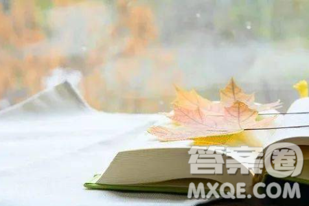 晒读书照片材料作文800字 关于晒读书照片的材料作文800字