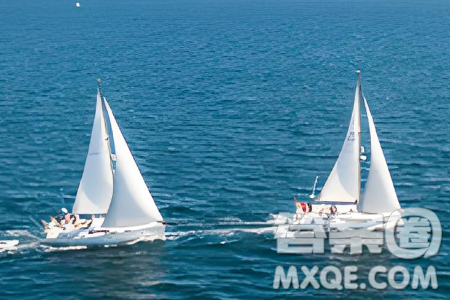 身处圈子时代的你有怎样的联想材料作文800字 身处圈子时代的你有怎样的联想材料作文800字