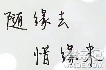 凡事当随缘材料作文800字 关于凡事当随缘的材料作文800字