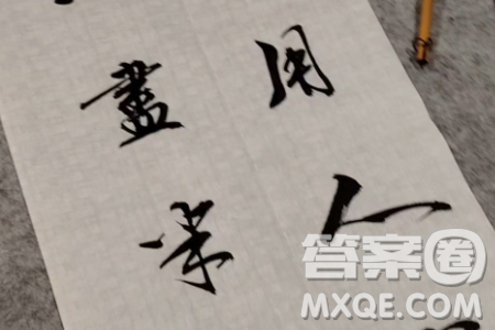 书法的形式也是有内容材料作文800字 书法的形式也是有内容材料作文800字