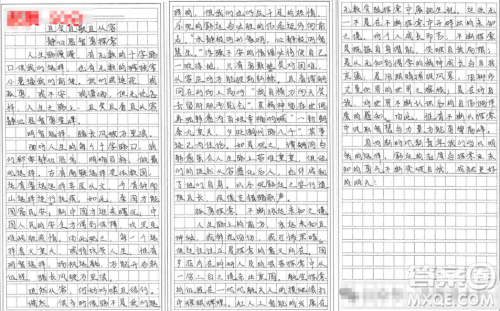 人生或是一段不断选择的旅程材料作文800字