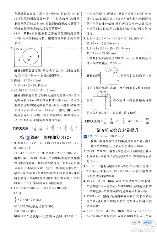 南方出版社2024秋学缘教育核心素养天天练六年级数学上册人教版答案