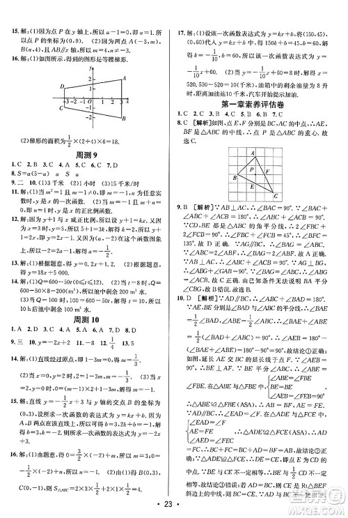 新疆青少年出版社2024年秋神龙教育期末考向标全程跟踪突破测试卷七年级数学上册鲁教版答案