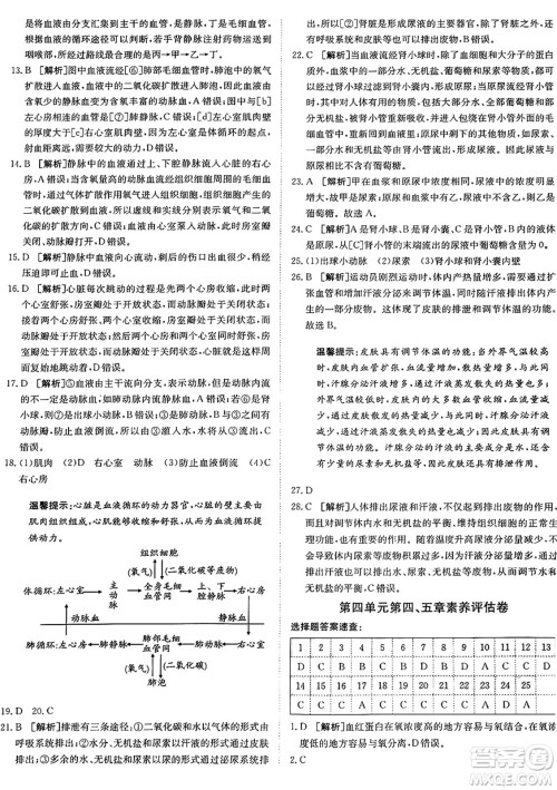 新疆青少年出版社2024年秋神龙教育期末考向标全程跟踪突破测试卷七年级生物上册鲁科版答案