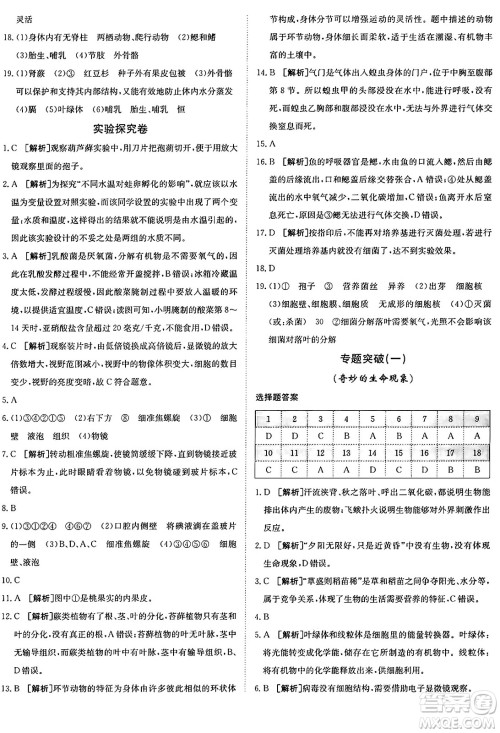 新疆青少年出版社2024年秋神龙教育期末考向标全程跟踪突破测试卷七年级生物上册济南版答案