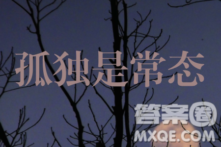 表达与沉默材料作文800字 关于表达与沉默的材料作文800字