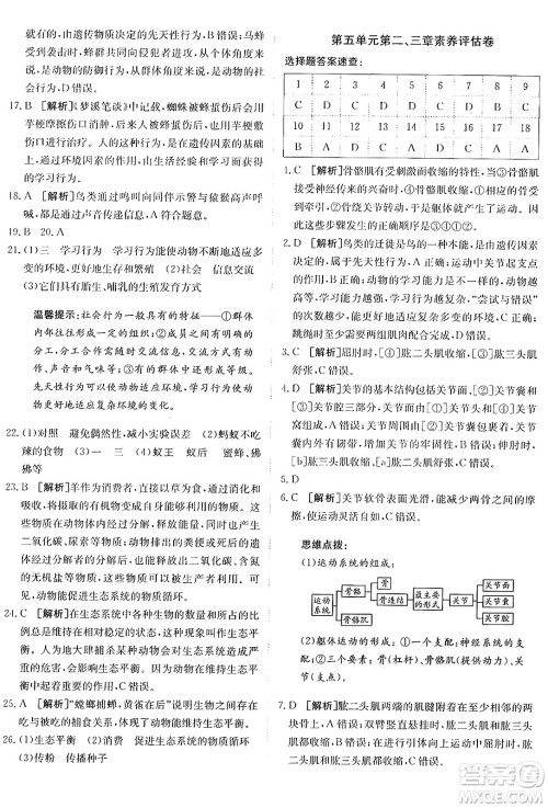 新疆青少年出版社2024年秋神龙教育期末考向标全程跟踪突破测试卷八年级生物上册人教版答案 新疆青少年出版社2024年秋神龙教育期末考向标全程跟踪突破测试卷八年级生物上册人教版答案