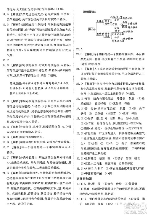 新疆青少年出版社2024年秋神龙教育期末考向标全程跟踪突破测试卷八年级生物上册人教版答案 新疆青少年出版社2024年秋神龙教育期末考向标全程跟踪突破测试卷八年级生物上册人教版答案