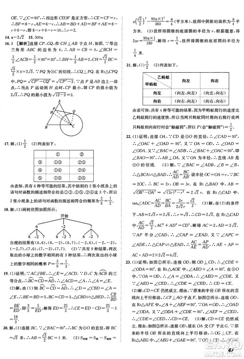 新疆青少年出版社2025年秋神龙教育期末考向标全程跟踪突破测试卷九年级数学全一册鲁教版答案