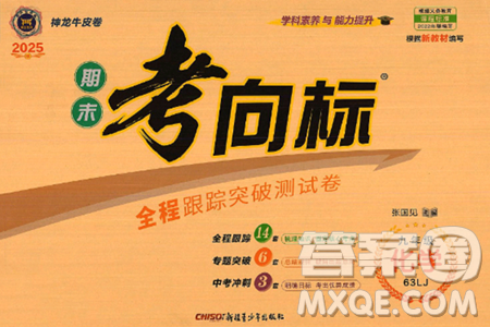 新疆青少年出版社2025年秋神龙教育期末考向标全程跟踪突破测试卷九年级化学全一册鲁教版答案