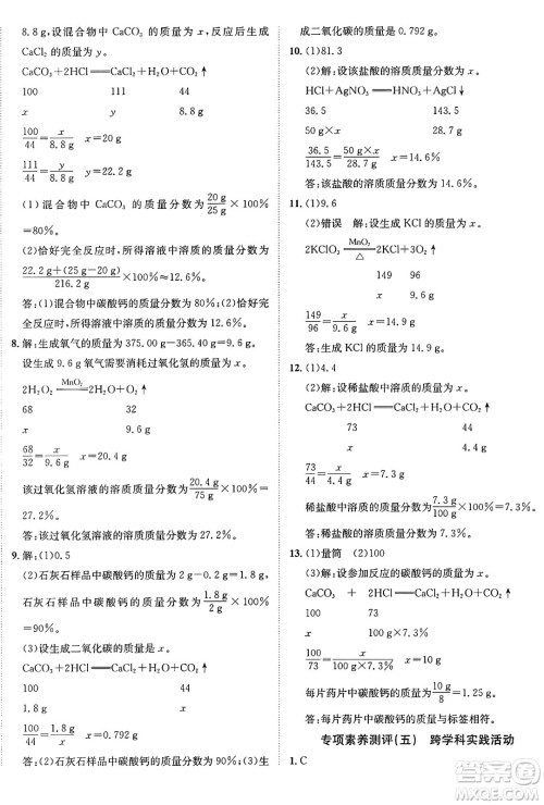 新疆青少年出版社2025年秋神龙教育期末考向标全程跟踪突破测试卷九年级化学全一册鲁教版答案