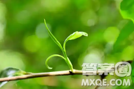 在现实生活中如何寻觅践行自己的生命节奏材料作文800字