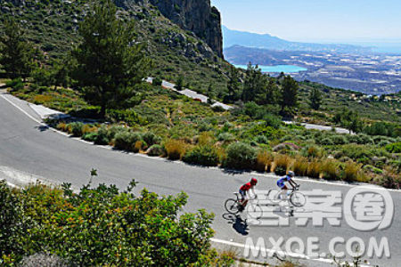 骑行有直路也有弯路材料作文800字 关于骑行有直路也有弯路的材料作文800字