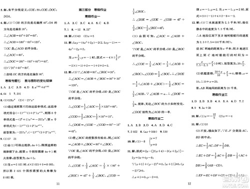 长江出版社2025年鑫浪传媒给力100寒假作业七年级数学湘教版答案