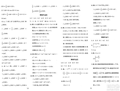 长江出版社2025年鑫浪传媒给力100寒假作业七年级数学湘教版答案