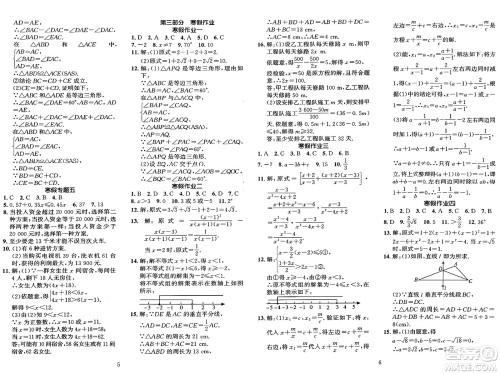 长江出版社2025年鑫浪传媒给力100寒假作业八年级数学湘教版答案