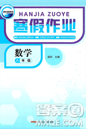 新疆青少年出版社2025年高效课堂系列寒假作业八年级数学通用版答案