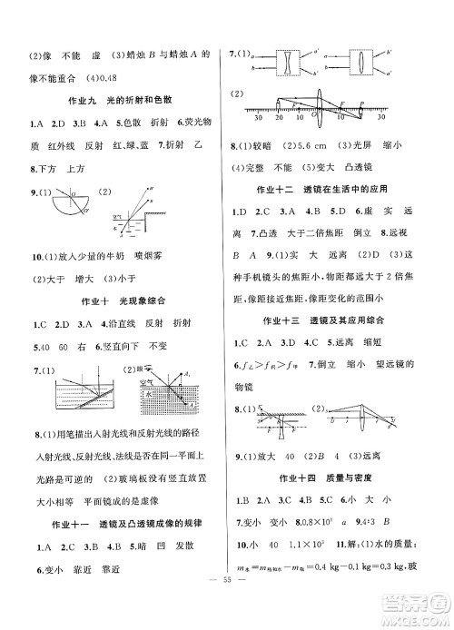 新疆青少年出版社2025年高效课堂系列寒假作业八年级物理通用版答案