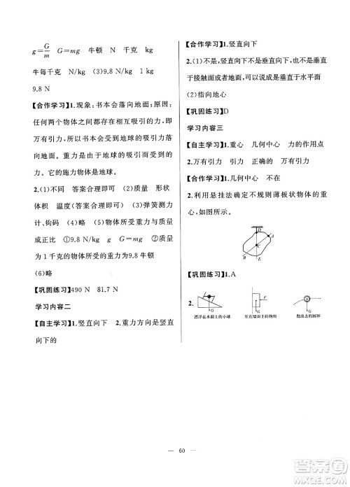 新疆青少年出版社2025年高效课堂系列寒假作业八年级物理通用版答案