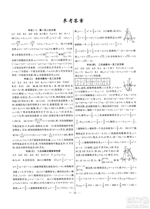 新疆青少年出版社2025年高效课堂系列寒假作业九年级数学通用版答案 新疆青少年出版社2025年高效课堂系列寒假作业九年级数学通用版答案