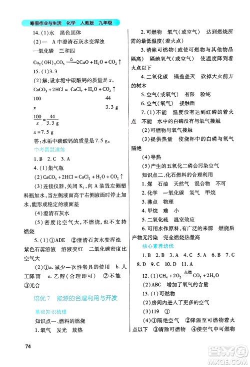 陕西师范大学出版总社有限公司2025年寒假作业与生活九年级化学人教版答案