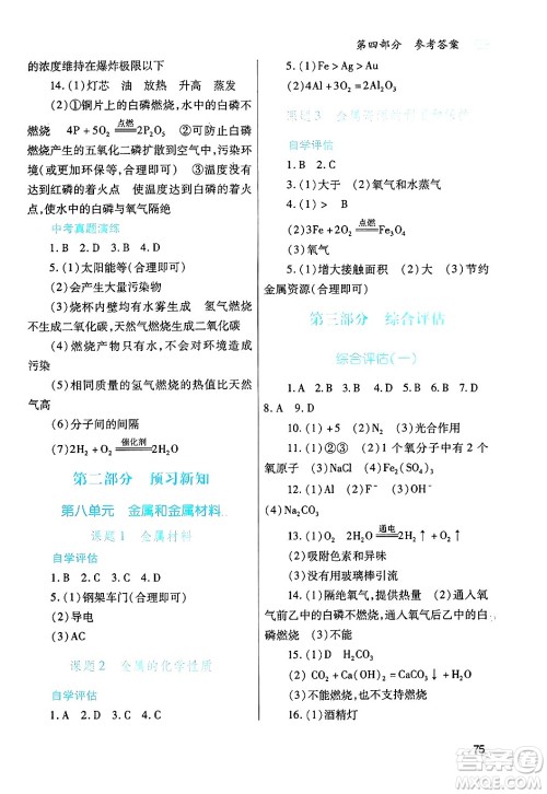 陕西师范大学出版总社有限公司2025年寒假作业与生活九年级化学人教版答案