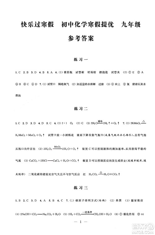 江苏凤凰科学技术出版社2025年快乐过寒假初中化学寒假提优九年级化学通用版答案