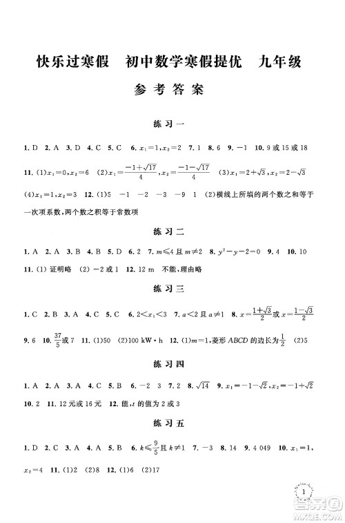 江苏凤凰科学技术出版社2025年快乐过寒假初中数学寒假提优九年级数学通用版答案