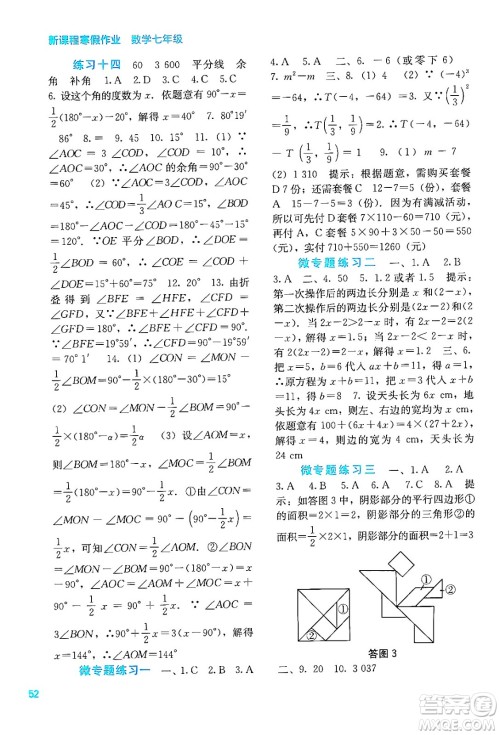 广西教育出版社2025年新课程寒假作业七年级数学通用版答案