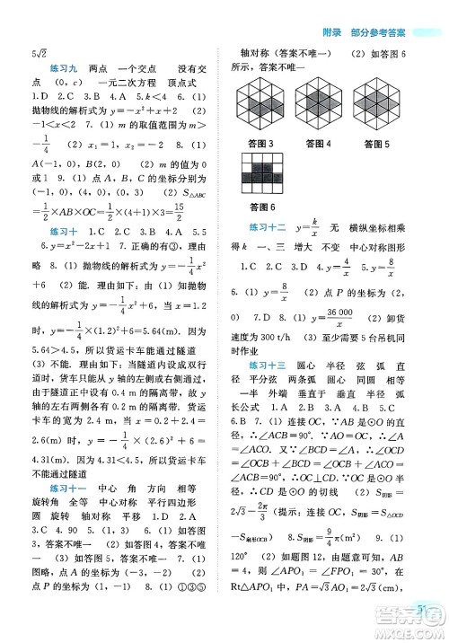 广西教育出版社2025年新课程寒假作业九年级数学通用版答案