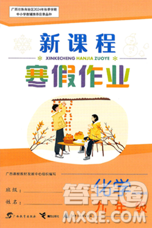 广西教育出版社2025年新课程寒假作业九年级化学通用版答案