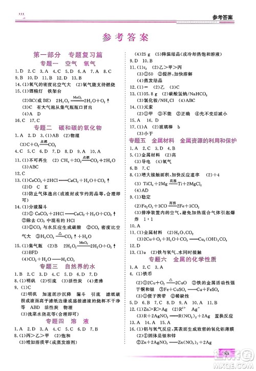 内蒙古大学出版社2025年文轩假期生活指导寒假作业九年级化学通用版答案