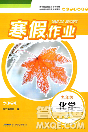 安徽教育出版社2025年寒假作业九年级化学人教版答案